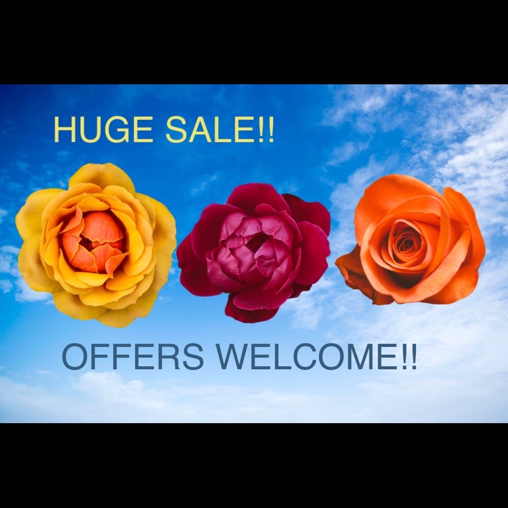 Everything in my closet is for sale Offers welcome